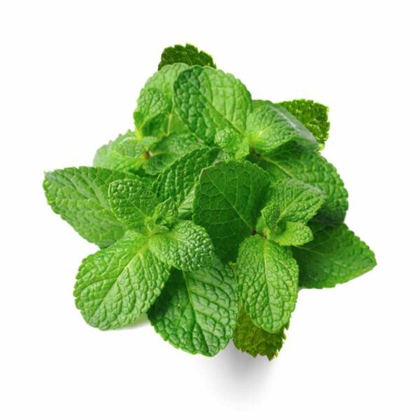 Mint 1 bunch