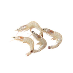 Small Prawns