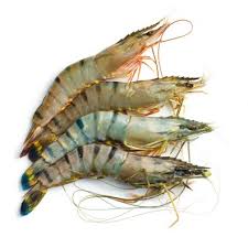 Tiger Prawns